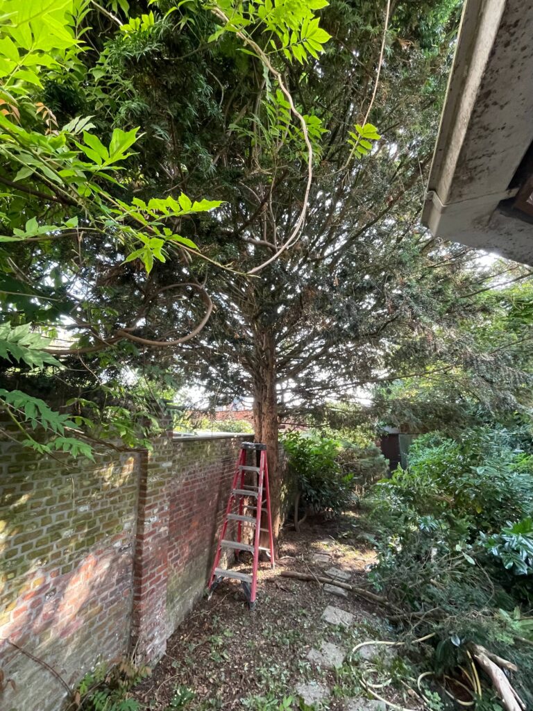 freecompress-image00002