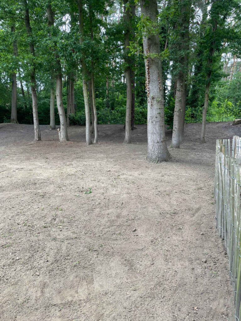 image00005 tuinonderhoud rijmenam