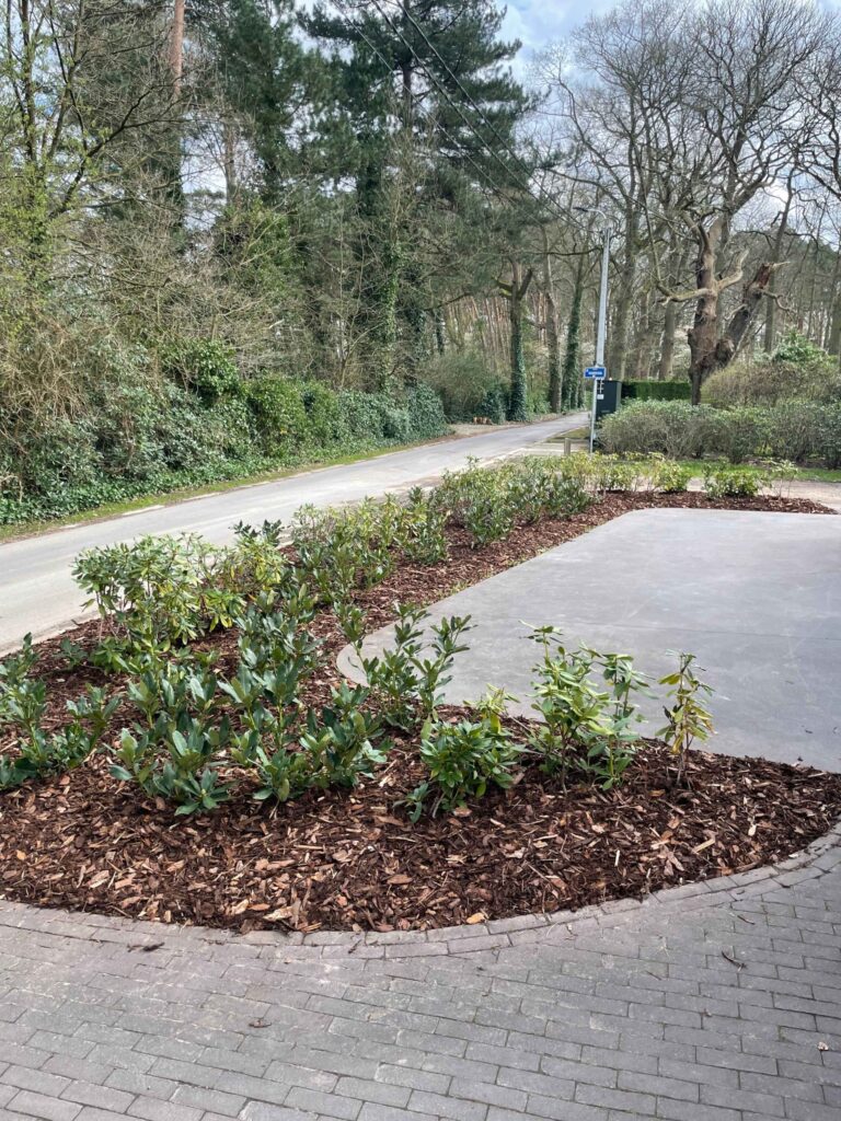 image00012 tuinaanleg Bonheiden